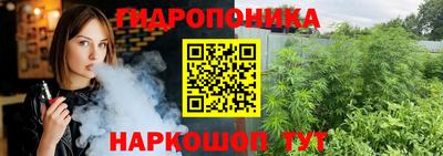 крисы Коммунар