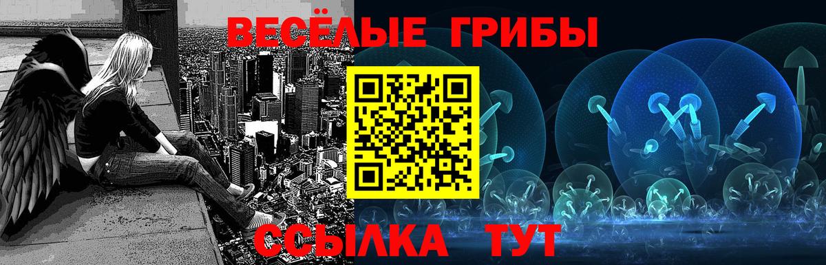 Карталы  Псилоцибиновые грибы мухоморы  Вход с VPN  Псилоцибиновые грибы Psilocybe 